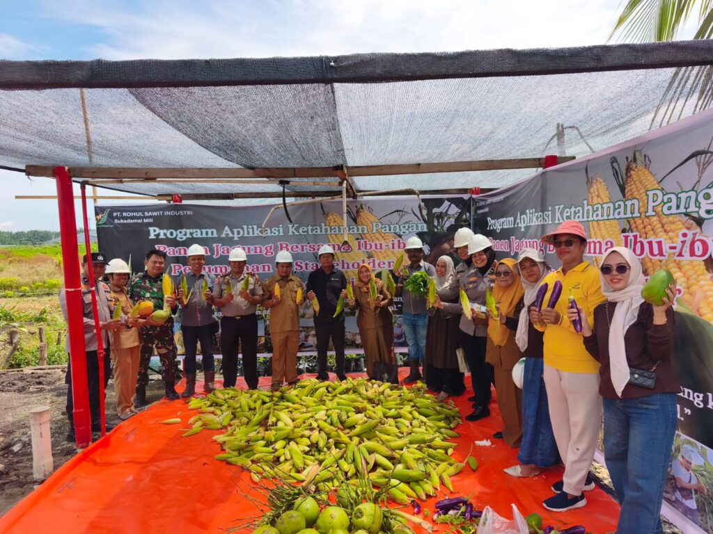 Sulap Lahan Limbah Jadi Sumber Pangan, Panen Raya PT RSI Dihadiri Kapolsek Ujung Batu