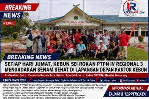 Senam Sehat Rutin, PTPN IV Regional 3 Kebun Sei Rokan Tingkatkan Kebugaran Karyawan