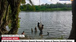 Anak-Anak Dusun 2 Petakur Bawah Bermain Tarzan di Tepian Sungai Rokan