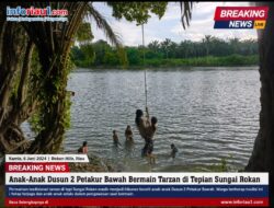 Anak-Anak Dusun 2 Petakur Bawah Bermain Tarzan di Tepian Sungai Rokan
