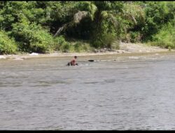 Dua Warga Terlihat Mendulang Emas di Aliran Sungai Rokan, Dekat Desa Pematang Tebih
