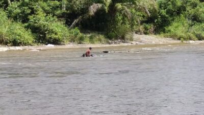 Dua Warga Terlihat Mendulang Emas di Aliran Sungai Rokan, Dekat Desa Pematang Tebih