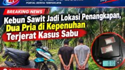 Kebun Sawit Jadi Lokasi Penangkapan, Dua Pria di Kepenuhan Terjerat Kasus Sabu