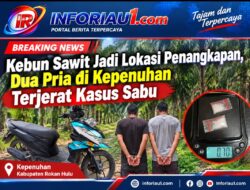Kebun Sawit Jadi Lokasi Penangkapan, Dua Pria di Kepenuhan Terjerat Kasus Sabu