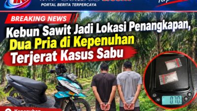 Kebun Sawit Jadi Lokasi Penangkapan, Dua Pria di Kepenuhan Terjerat Kasus Sabu